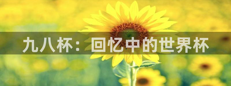 免费足球比赛直播高清：九八杯：回忆中的世界杯