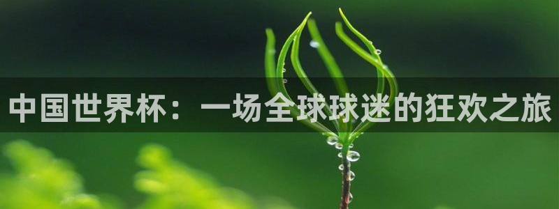 2026男足世界杯赛程：中国世界杯：一场全球球迷的狂欢之旅
