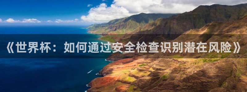 亚洲杯足球：《世界杯：如何通过安全检查识别潜在风险》