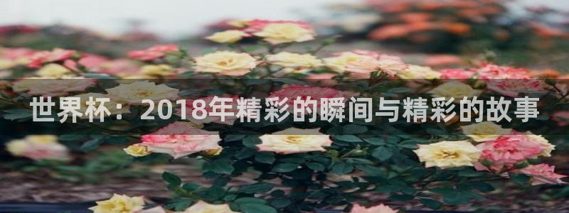 足球比分直播世界杯：世界杯：2018年精彩的瞬间与精彩的故事