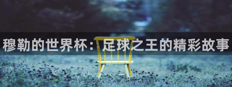 世界杯赛程表2026：穆勒的世界杯：足球之王的精彩故事