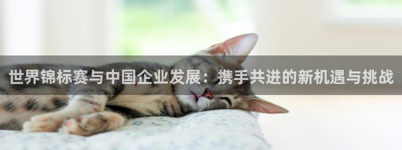 世界直播：世界锦标赛与中国企业发展：携手共进的新机遇与挑战