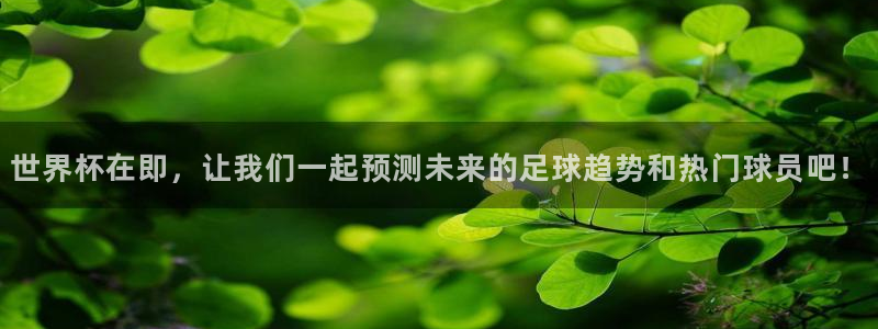 世界杯系列赛：世界杯在即，让我们一起预测未来的足球趋势和热门球员吧！