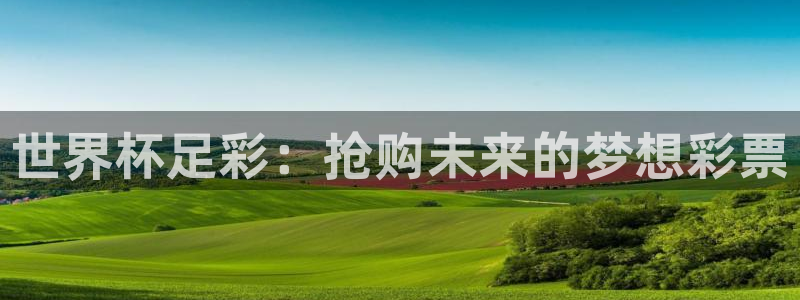 世界杯对阵图2026：世界杯足彩：抢购未来的梦想彩票