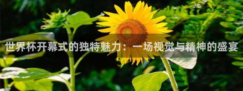 2026年世界杯赛程：世界杯开幕式的独特魅力：一场视觉与精神的盛宴